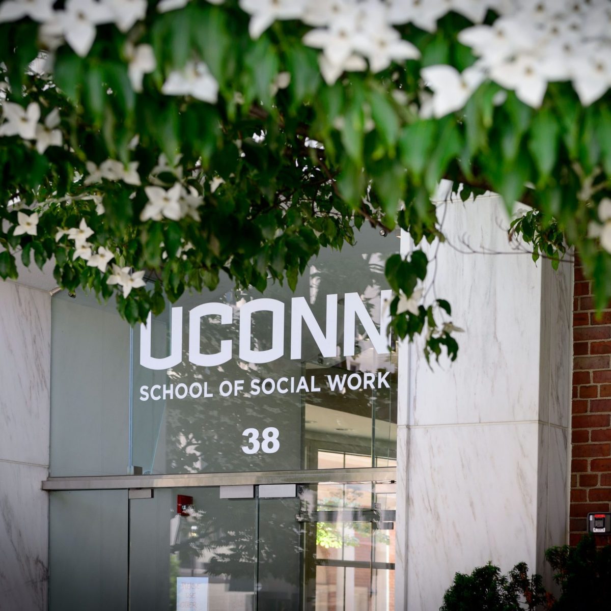 UConn SSW